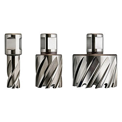 Fraises HSS Nova 25 de diamètre 12mm Weldon FEIN 63134120051