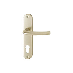 Ensemble San Diego grand model type clé I pour cylindre européen finition F2 alu aspect champagne HOPPE 3559791