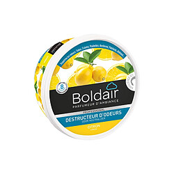 BOLDAIR GEL DESTRUCT.ODEUR 300G CITRON BOLDAIR - PV56076201