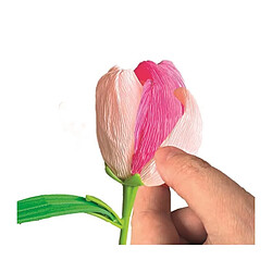Avis Clementoni Coffret créatif fleurs tulipe