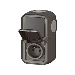 PLEXO INTER. PRISE 2PT T VERT.ANTHRACI LEGRAND - 070067