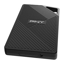 Avis Pny RP60 1To