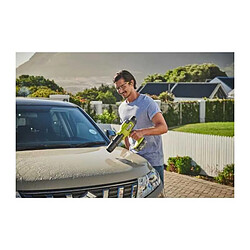 Ryobi Souffleur de jardin pas cher