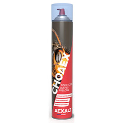 Insecticide anti guêpes frelons Choaex aérosol de 1000 ml AEXALT IC075