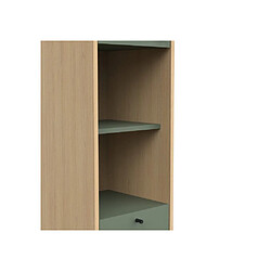 CALICOSY ELISA - Armoire haute 2 portes 1 tiroir - Vert et chêne pas cher