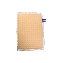 Avis GRATTE VITRE POELES ET INSERTS A BOIS TISSAGES DE BEAULIEU - 511100R