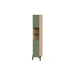 Acheter CALICOSY ELISA - Armoire haute 2 portes 1 tiroir - Vert et chêne