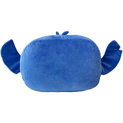 Coussin d'intérieur