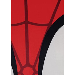 Avis Spido Coussin 3D - SPIDEY - Microfibre - 40 cm