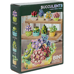 Ss Marque Coffret plantes succulentes 770 briques A2502307