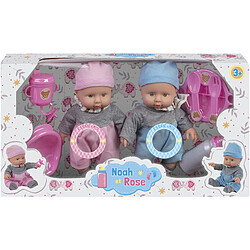 Avis Poupons jumeaux 6 sons et accessoires A2502260