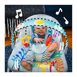 Baby einstein Transat balancelle bébé