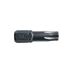Riss Embouts de vissage Torx T30 - x3