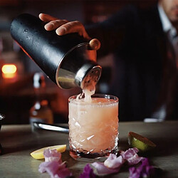 Acheter Shaker à cocktail 750 ml et distributeur d'alcool 4 cl - FACKELMANN - Spectre