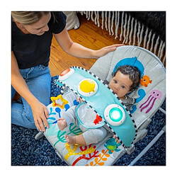 Acheter Baby einstein Transat balancelle bébé