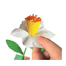 Avis Clementoni Coffret créatif Crée tes fleurs Narcisse
