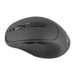 Avis C000040347_yenkee Slider Grise