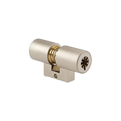 Pollux cylindre de serrure monobloc - Nickelé