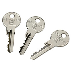 Cylindre à double entrée 5 goupilles 5G LN 45X55 HERACLES C1000212 - Reconditionné