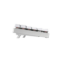 Avis Clavier Cherry MX 8.2 TKL WIRELESS Clavier mécanique avec rétroéclairage RGB Filaire Bluetooth sans fil 2.4 GHz Cherry MX Re