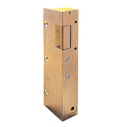 Gache électrique en applique 158 mm serrure verticale électro inversé 12V porte droite Beugnot 12