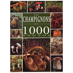 Les champignons en 1000 photos