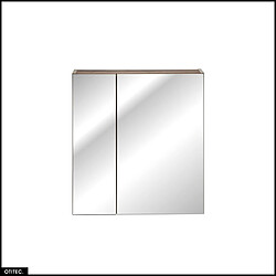 Otitec Armoire de salle de bain avec miroir - Gris