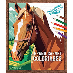 Au galop ! Une saison à cheval : mon grand livre de coloriages