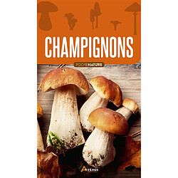 Champignons