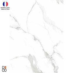 Decopine – Panneaux muraux rigides PVC effet marbre blanc brillant