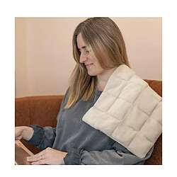 Acheter Coussin chauffant 100w - DOS219C - LIVOO