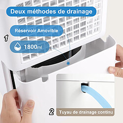 Acheter DZMDIP Deshumidificateur d'air Electrique 160m³/h - Professionnel - Mode Sèche-linge - Silencieux pour Maison, Bain, Chambre, Armoire