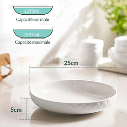 DOWAN Bols à pâtes de 1597ml, Grand, 25cm, Ensemble de 4