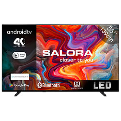 Salora SMART55TV