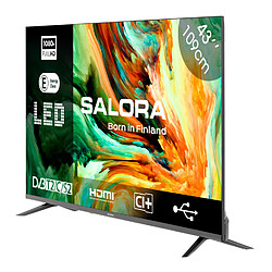 Salora LEDTV43 - 43 pouces