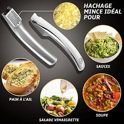 Acheter Gourmet Easy Presse Ail Inox Écrase l'ail sans épluchage Nettoyage facile Presse ail professionnel