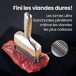 Avis Gourmet Easy Attendrisseur de viande inox avec poignée longue | Marteau robuste à aiguilles | Garantie 5 ans | Facile à nettoyer