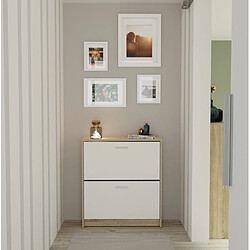 Pegane Meuble à chaussures 2 portes - Blanc/Chêne