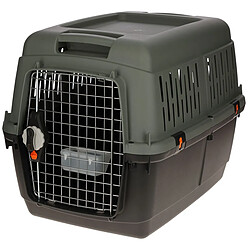 Equipement de transport pour chat