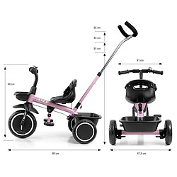 Avis Tricycle Milly Mally Axel Nouveau Rose