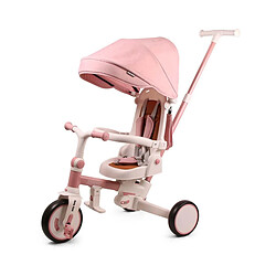 Tricycle Milly Mally Zippy Rose