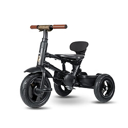 Acheter Tricycle Qplay Rito Deluxe Marron