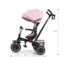 Avis Tricycle Milly Mally Stanley N. Rose