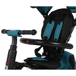 Avis Tricycle Qplay Rito Plus Vert
