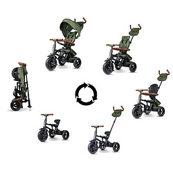 Avis Tricycle Qplay Rito Deluxe Olive