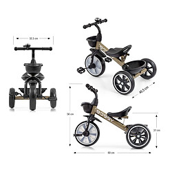 Avis Tricycle Milly Mally Bobby Doré