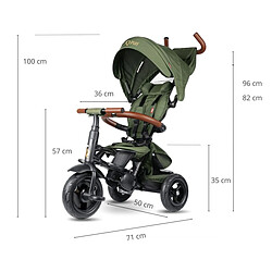 Acheter Tricycle Qplay Rito Deluxe Olive