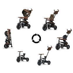 Avis Tricycle Qplay Rito Deluxe Marron
