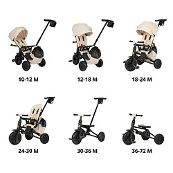 Avis Tricycle Qplay Nova Max Beige
