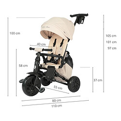 Acheter Tricycle Qplay Nova Max Beige